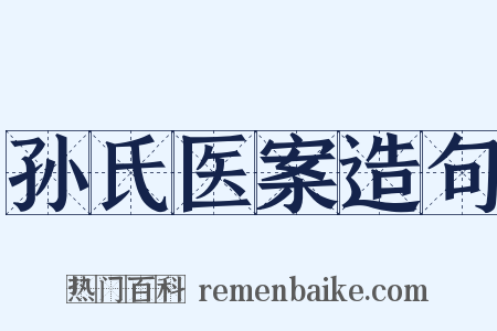 孙氏医案造句是什么意思的图片
